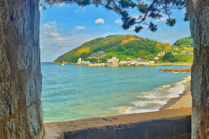 Enchanting Oedo Island Day Tour From Busan - Reviews and Testimonials