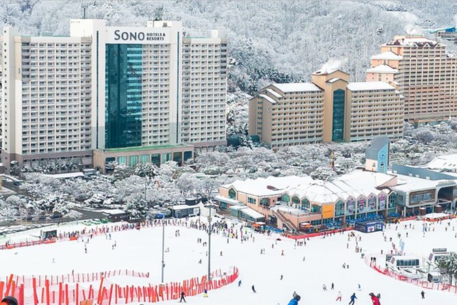 Enjoy Korea Ski Tour and Winter Ocean For 5D 4N - Cancellation Policy
