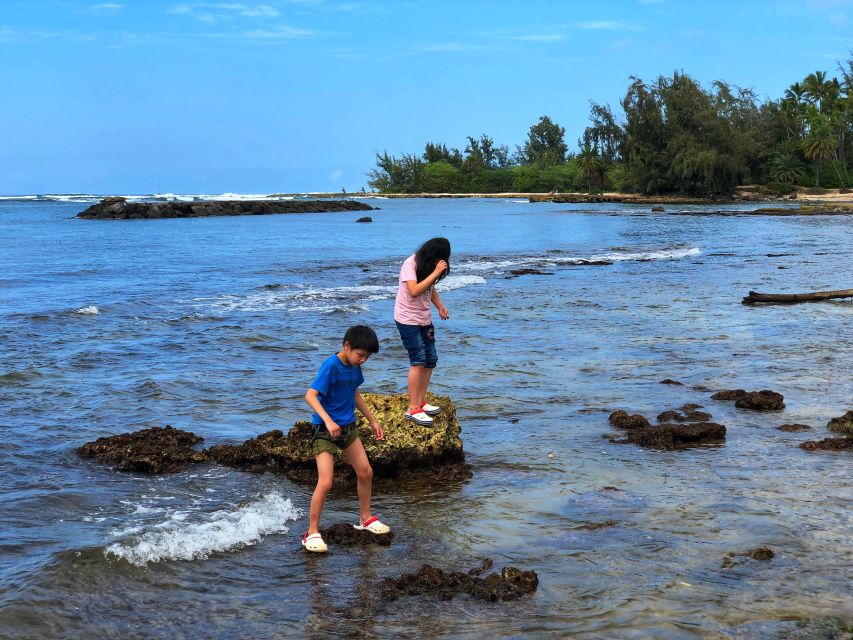 Enjoy Private Professional Photo Tour in Honolulu Island - Tour Highlights