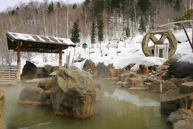 Enjoy Snow-Covered Hot Springs With Private Transport - Accessibility and Transportation Proximity