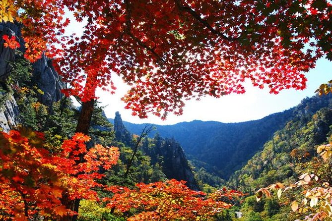 Essential Autumn Foliage of Korea 3 Days With Sorak and Odaesan Mountain - Exploring Odaesan Mountain Trails