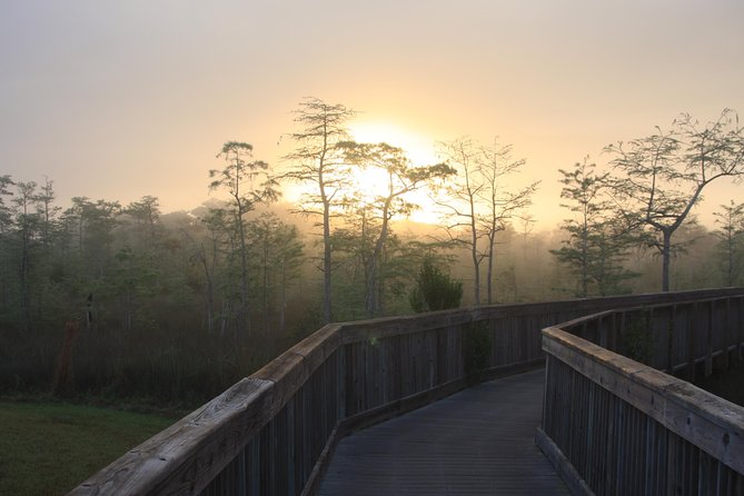 Everglades Airboat Nature Tour From Greater Fort Myers - Viator Experience Review