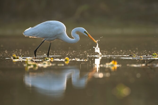 Everglades Explorer - Noosa Everglades Tour - Cancellation Policy