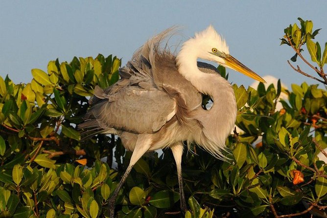 Everglades National Park Small Group Guided Boating & Walking Tour Expedition - Booking Details