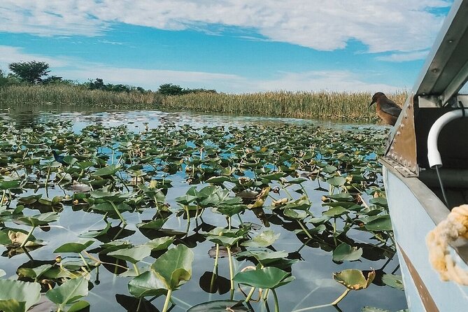 Everglades Tour With Professional Tourguide Inclusive Pickup - Booking and Confirmation Process