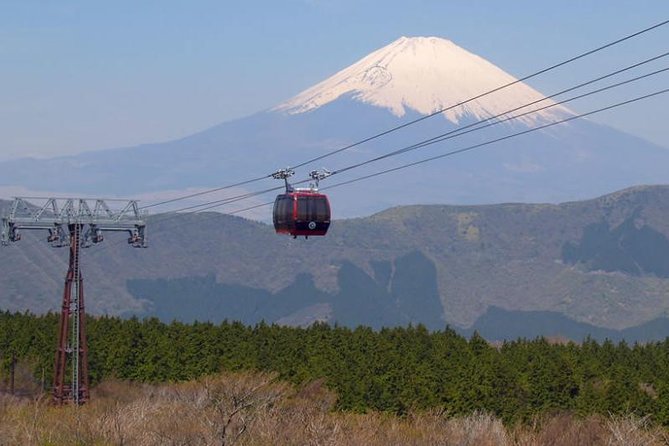 Exciting Hakone - One Day Tour From Tokyo - Departure Point