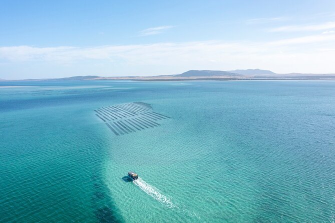 Experience Coffin Bay Oyster Farm and Bay Tour - Logistics