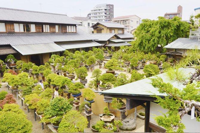 Experience Edo Tokyo Walking Tour - Itinerary Highlights