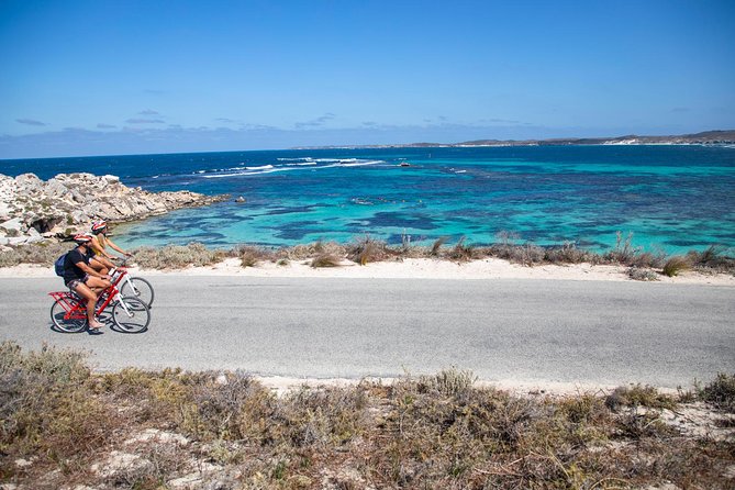 Experience Rottnest With Ferry & Bike Hire - Customer Reviews and Ratings