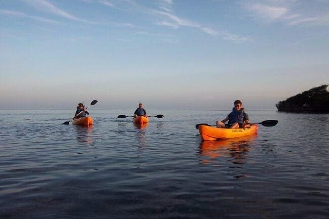 Explore Mangrove Creeks With an All Day Sup/Single Kayak Rental - Activity Description