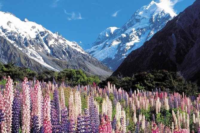 Explore Mount Cook From Christchurch - Customer Reviews and Recommendations
