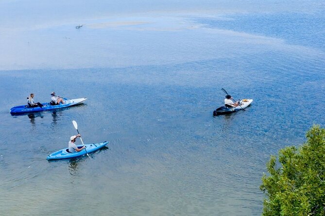 Explore Noosa by Kayak - Mangroves and Mansions - Inclusions and Amenities Provided