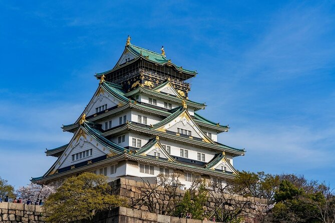 Explore Osaka Hotspots in 1 Day Walking Tour From Osaka - Meeting Point