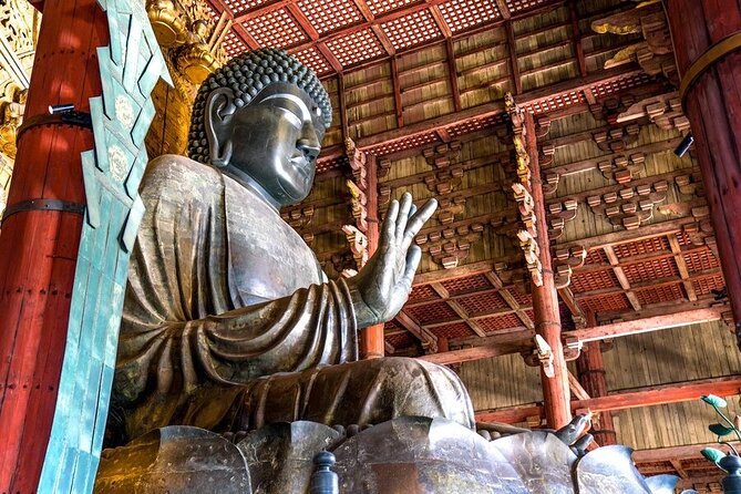 Explore the Best Spots of Arashiyama / Nara in a One Day Private Tour From Kyoto - Arashiyama Bamboo Grove