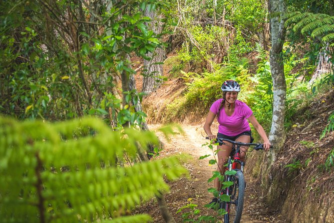 Explore the Waitangi MTB Park on Electric Bikes - Trail Difficulty Levels