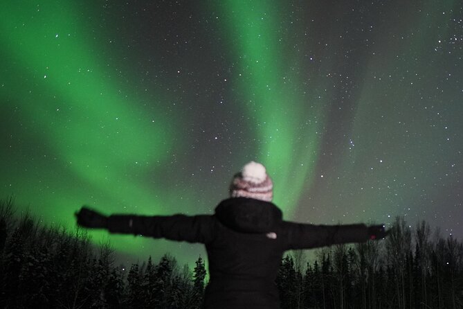 Fairbanks Private Northern Lights and Photography Tour - Criticisms and Suggestions