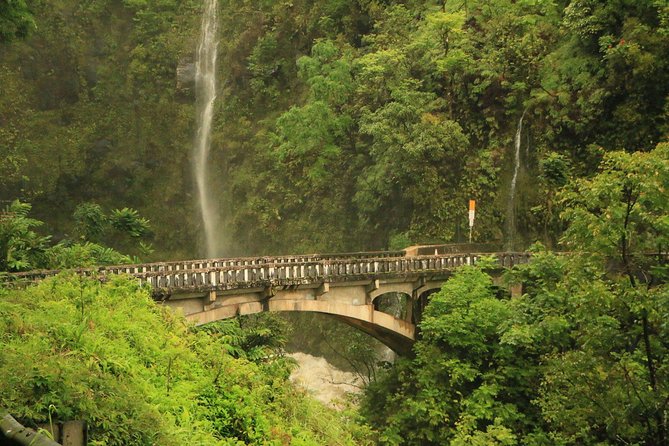 Famous Road to Hana Waterfalls and Lunch by Mercedes Van - Tour Experience