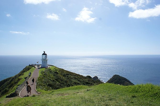 Far North New Zealand Tour Including 90 Mile Beach and Cape Reinga From Paihia - Pickup Details and Requirements