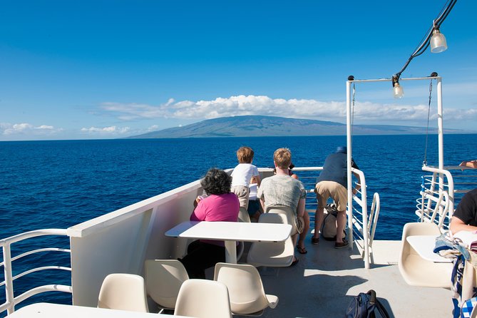 Favorite Oahu Whale Watch! (2 Hour Tour! Ala Wai Harbor, Oahu) - Inclusions and Amenities