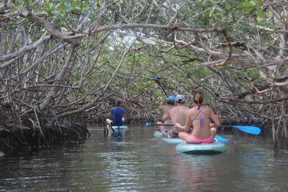 Florida Keys: Full-Day Kayak and Snorkel Reef Adventure - Duration and Scheduling