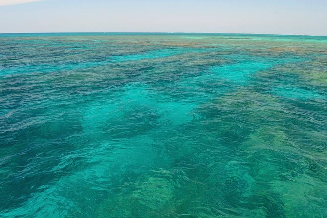 Florida Keys Reef Snorkel & Sail Adventure - Additional Tour Details