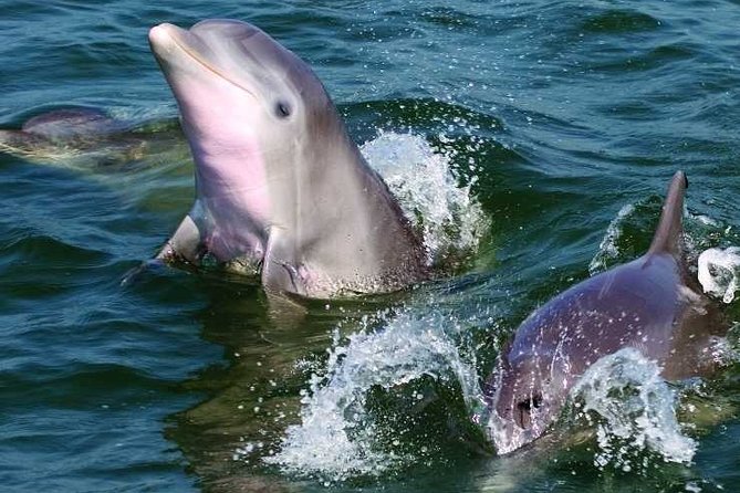 Fort Myers Beach and Sanibel Day Sail - Inclusions