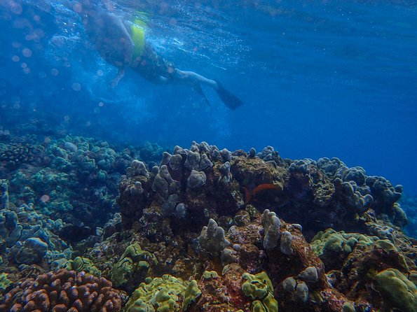 Four Winds II Molokini Snorkeling Tour From Maalaea Harbor - Catamaran Cruise Details