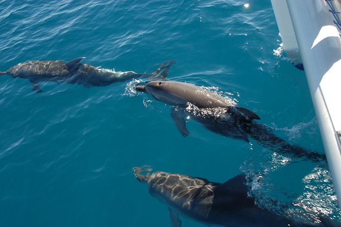Fraser Island & Dolphin Sailing Adventure - Experience Expectations