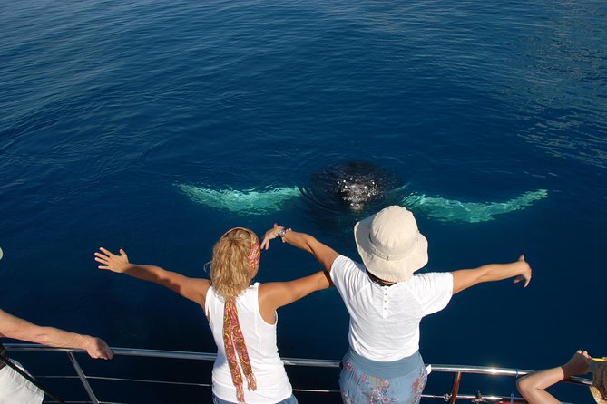 Fraser Island Whale Watch Encounter - Pickup Information