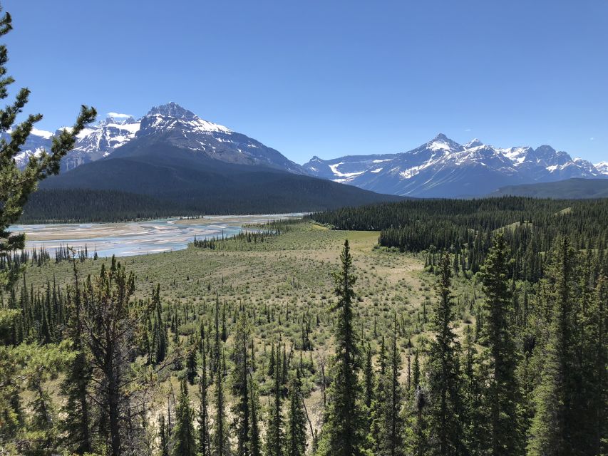 From Banff: Icefield Parkway Scenic Tour With Park Entry - Tour Highlights