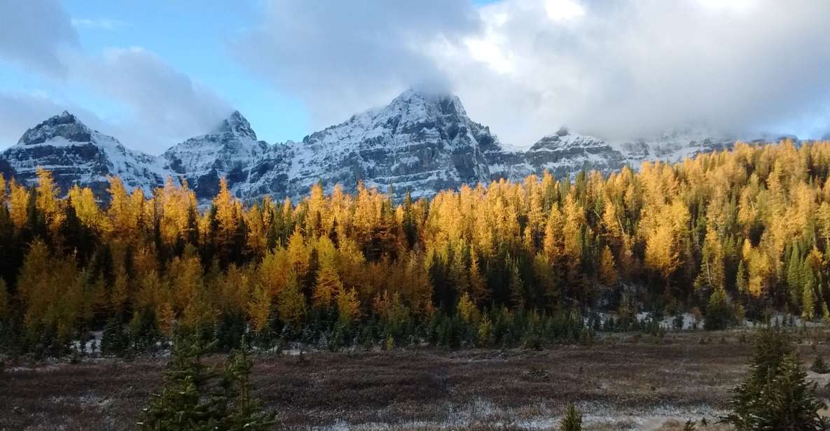 From Banff or Lake Louise: Moraine Lake & Larch Valley Hike - Activity Experience