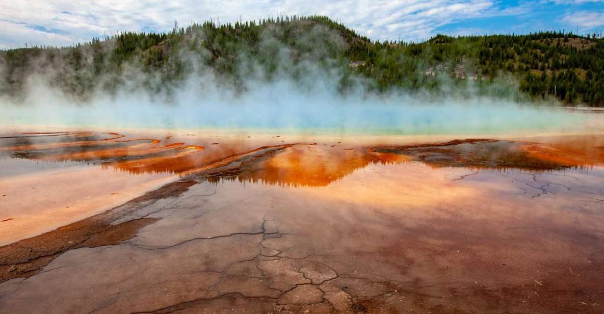 From Bozeman: Yellowstone Full-Day Tour With Entry Fee - Highlights of the Tour