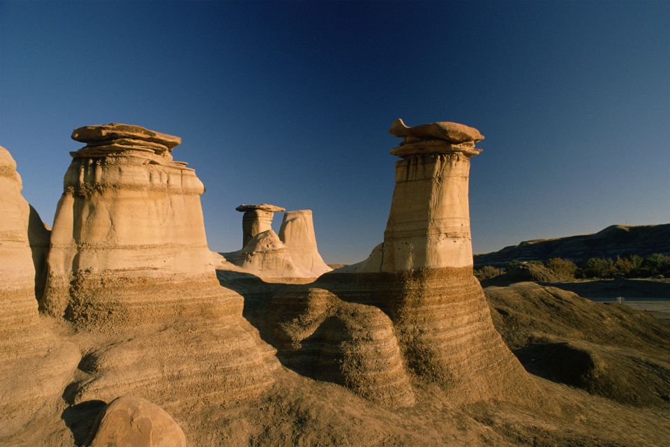 From Calgary: Drumheller and Badlands Tour - Logistics