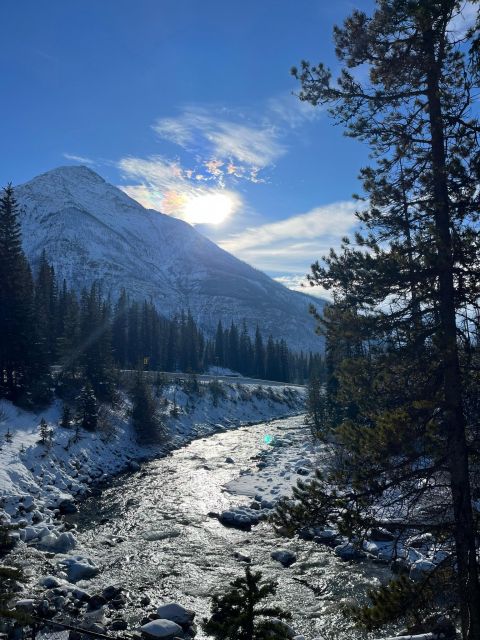 From Calgary: Kootenay National Park Day Trip - Activity Highlights