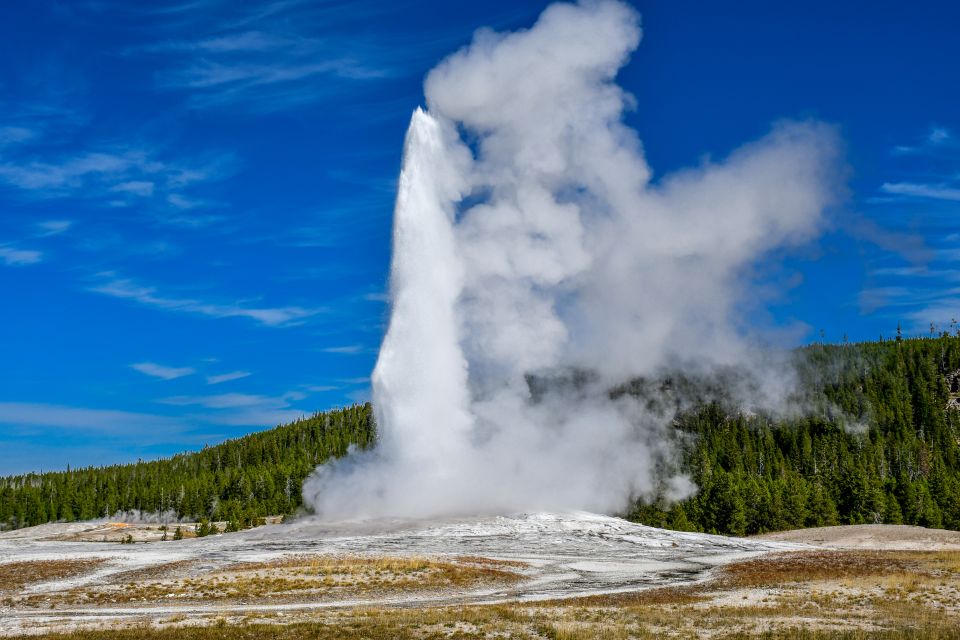 From Cody: Full-Day Yellowstone National Park Tour - Experience Highlights and Itinerary