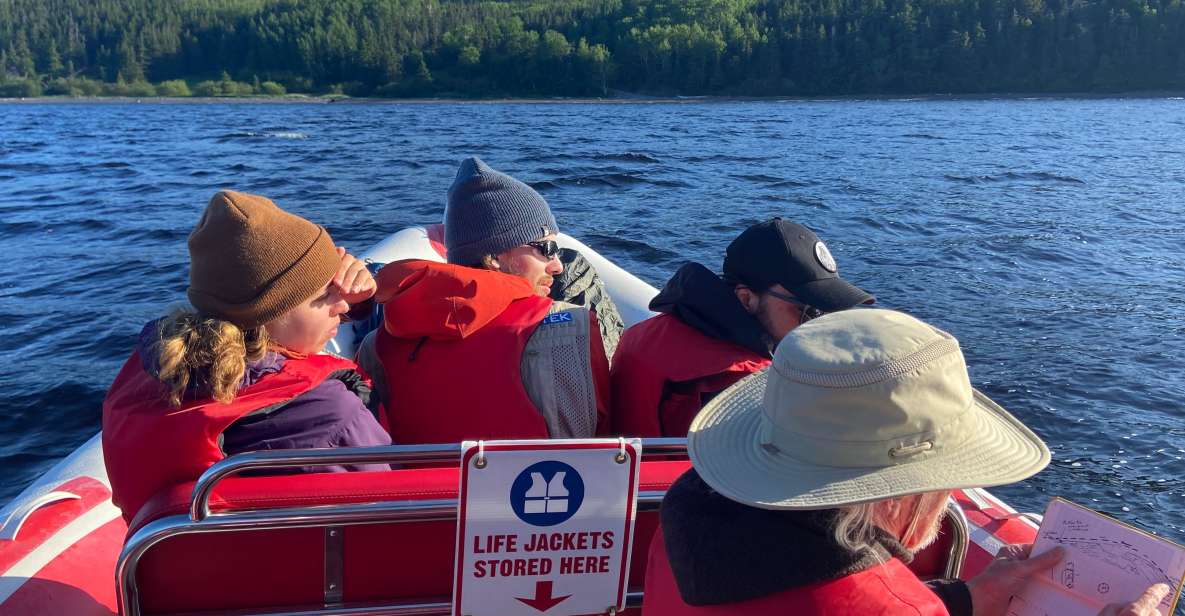 From Corner Brook : Bay Of Islands Island Zodiac Boat Tour - Experience Highlights