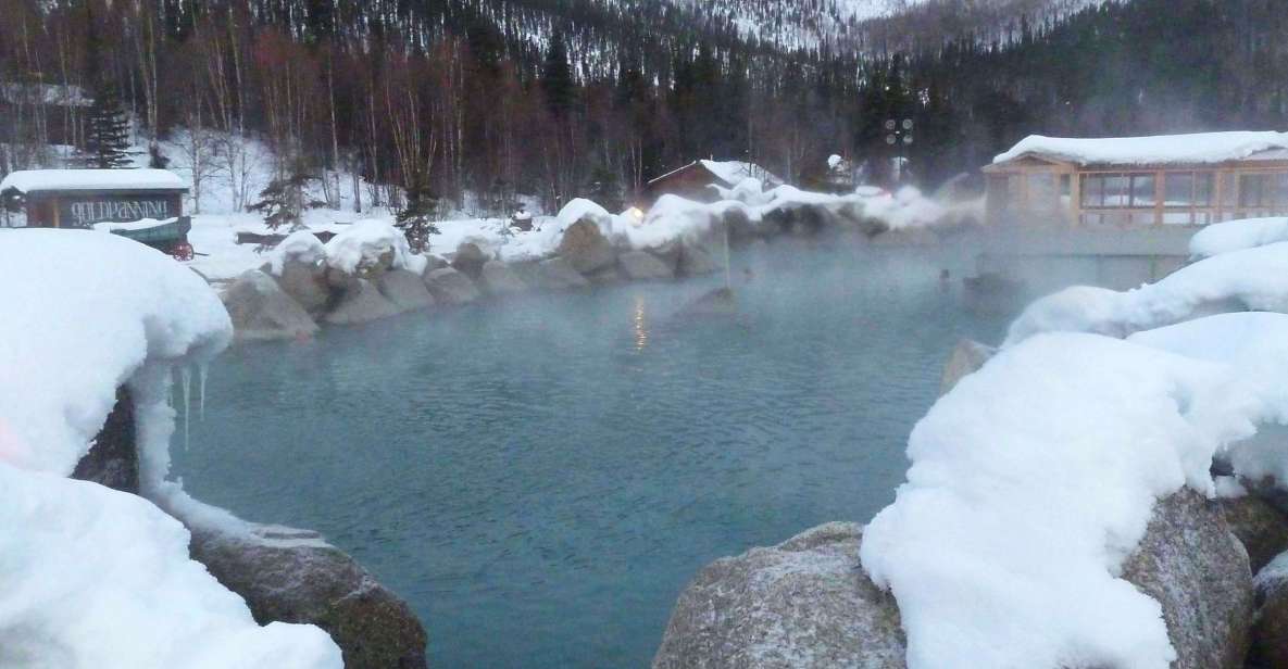 From Fairbanks: Chena Hot Springs Northern Lights Tour - Experience Highlights