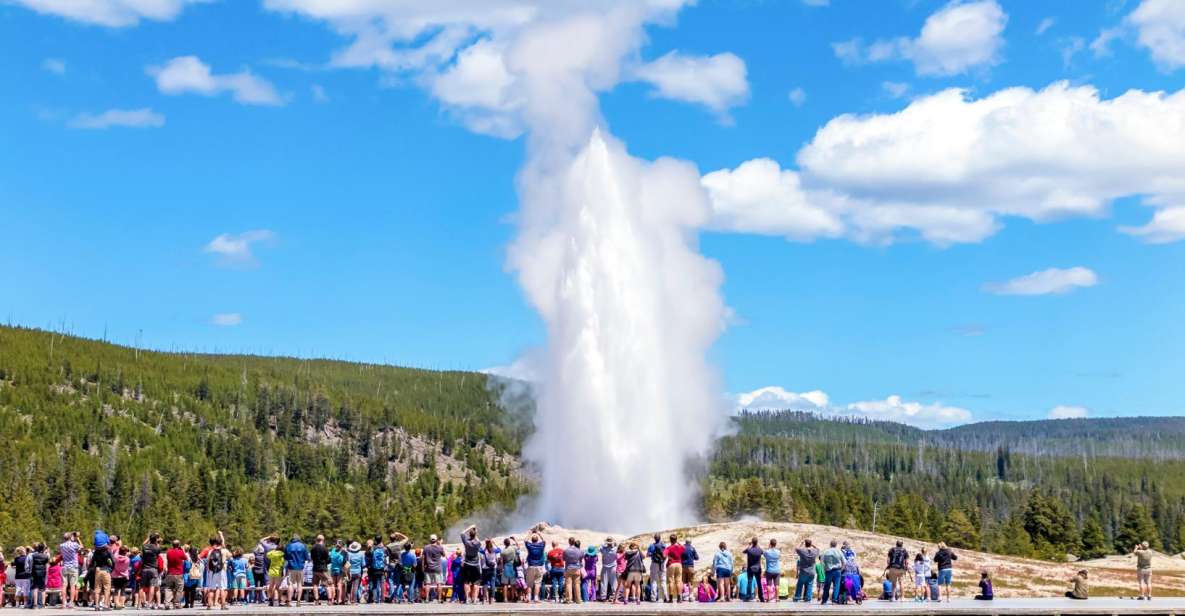 From Jackson: Yellowstone Day Tour Including Entrance Fee - Pricing and Payment Options