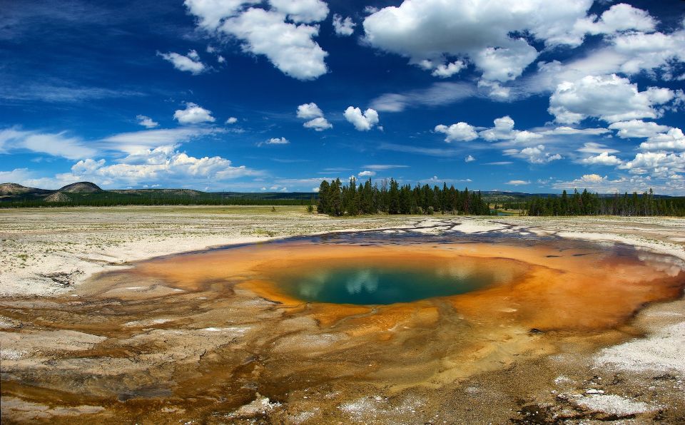 From Jackson: Yellowstone National Park Day Trip With Lunch - Experience Highlights