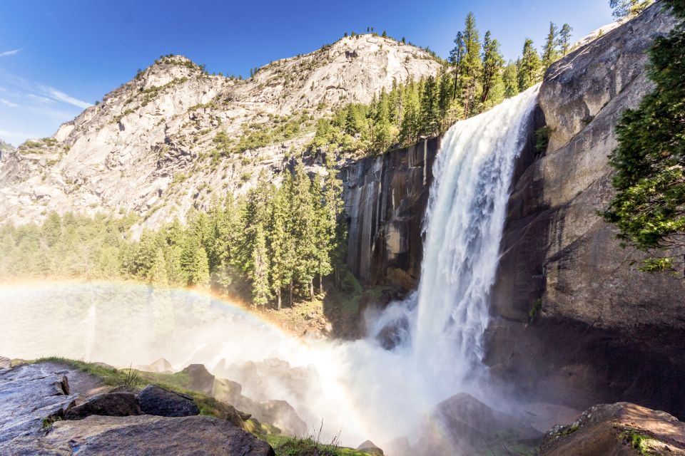 From Lake Tahoe: Yosemite National Park Day Trip With Lunch - Experience Highlights