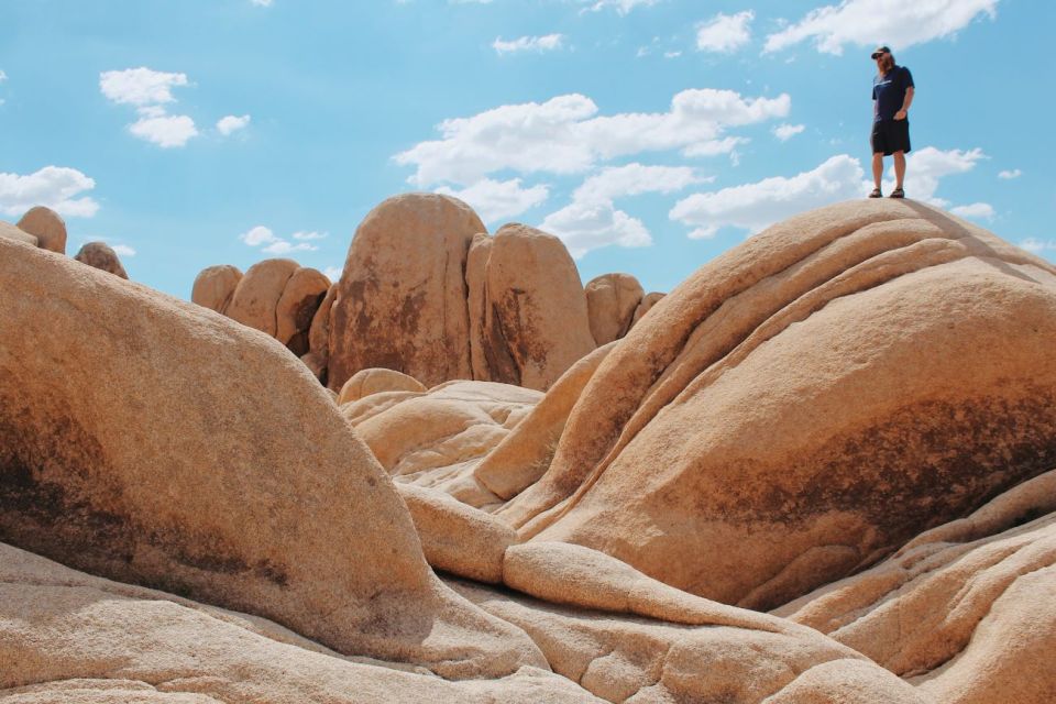 From Las Vegas: 4-Day Hiking and Camping in Joshua Tree - Experience Highlights