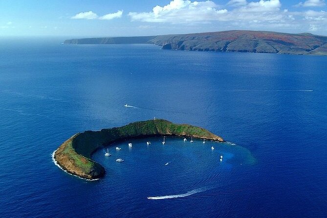 From Maalaea Harbor: Afternoon Molokini or Coral Gardens Snorkel Aboard Malolo - Tour Start Time and End Point