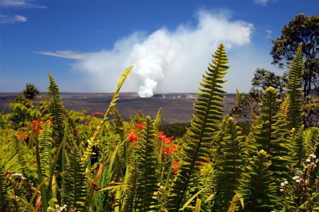 From Oahu: Big Island Volcano & Helicopter Adventure - Experience Highlights