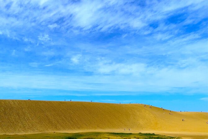 From Osaka: Tottori Sand Dunes Day Tour With English Guide - Company Background