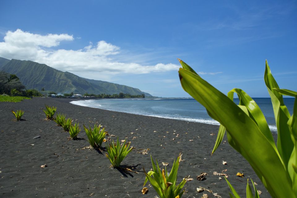 From Papeete: Tahiti Highlights Full-Day Private Tour - Cultural Immersion Experience