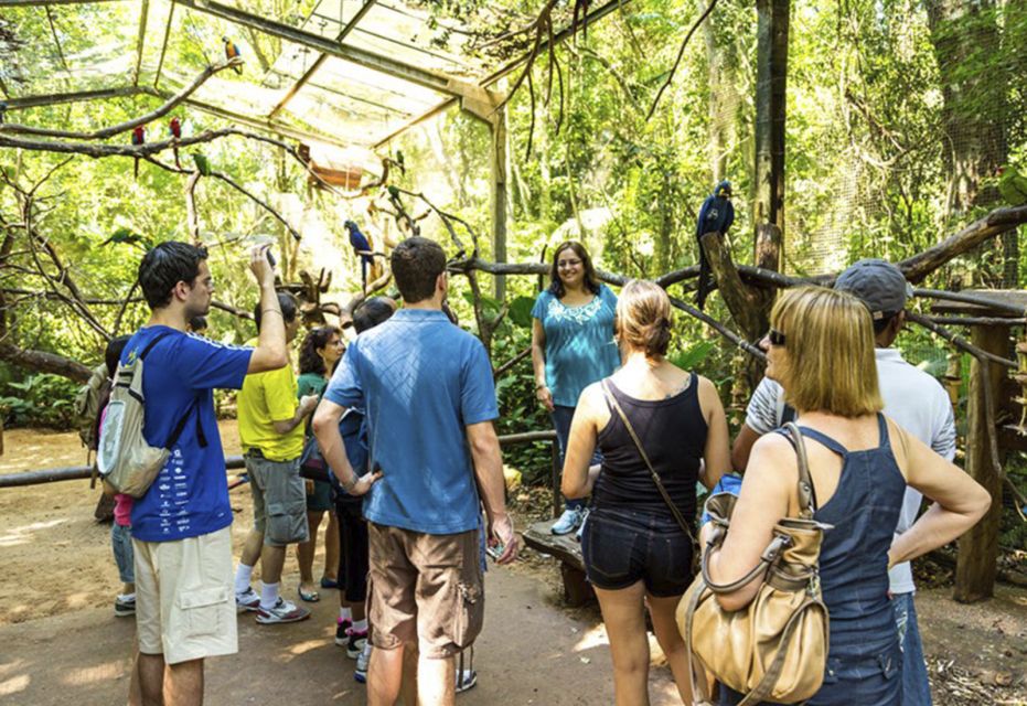 From Puerto Iguazú: Brazilian Bird Park Tour With Tickets - Tour Highlights