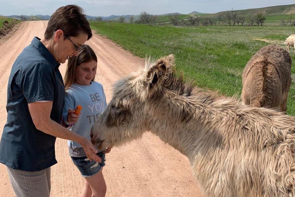 From Rapid City: Custer State Park Private Safari and Hiking - Experience