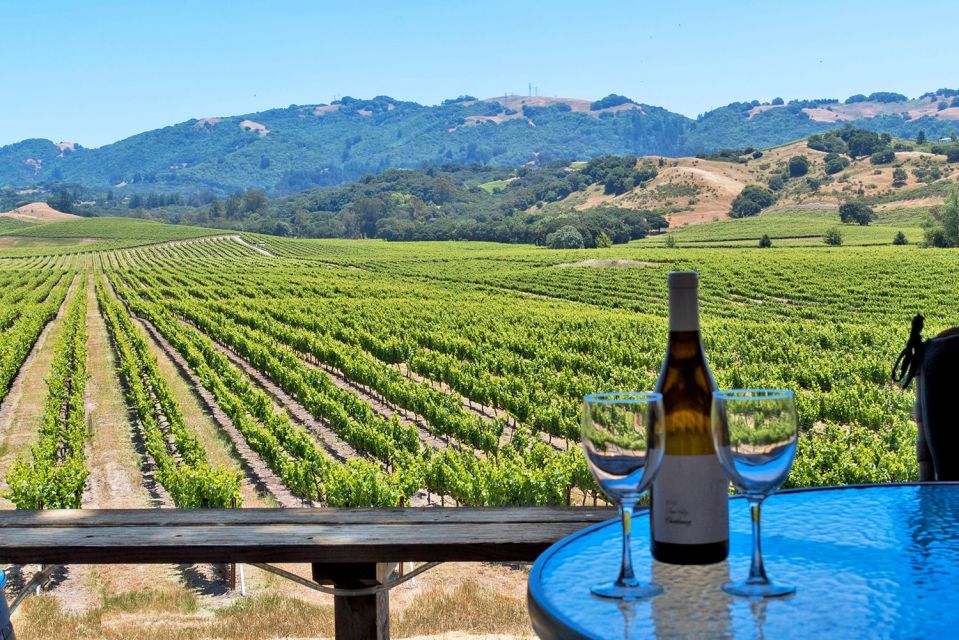 From San Francisco Bay Area: Sonoma Valley Wine Tour - Additional Information