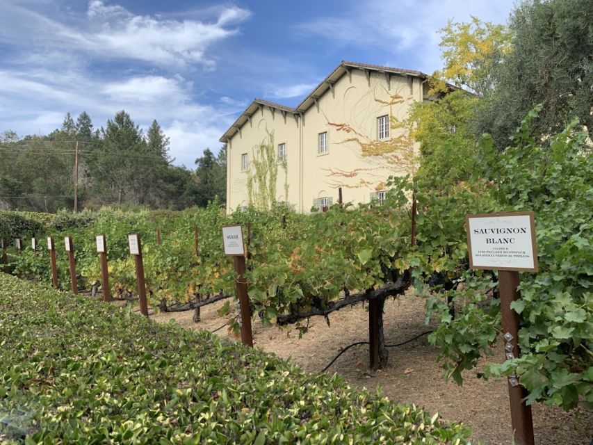 From San Francisco: Private Muir Woods and Napa Wine Tour - Experience Highlights