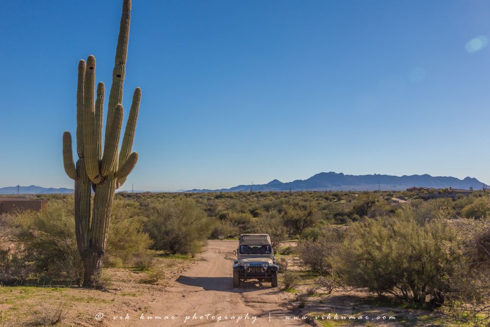 From Scottsdale: Sonoran Desert & Tonto National Forest Trip - Experience Highlights